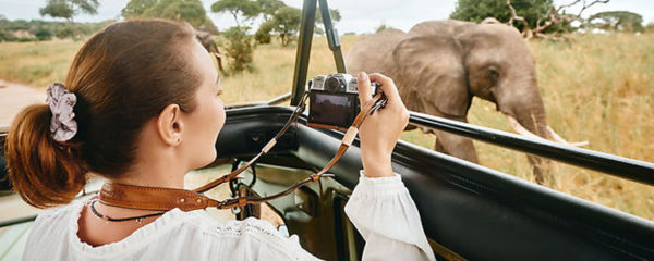 safaris en Tanzanie
