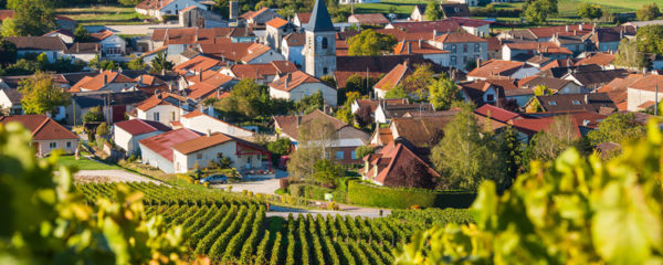 vignoble de la Champagne