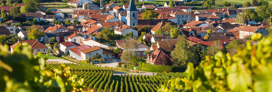 vignoble de la Champagne